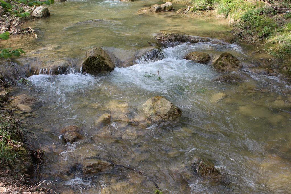 Le Parc De Jouvence Hotell Magrie Rum bild
