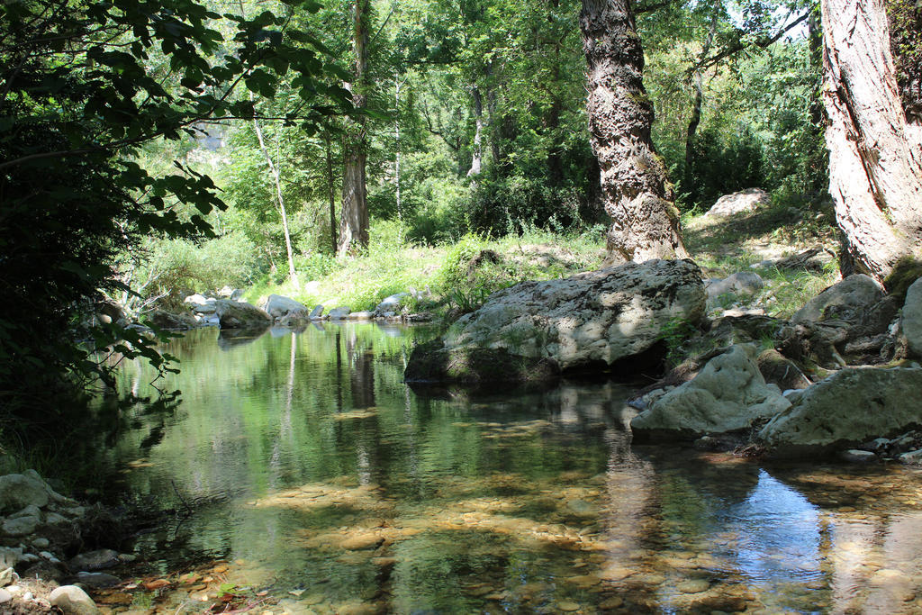 Le Parc De Jouvence Hotell Magrie Rum bild